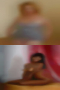 Angelinaceder1995, Bull Angelinaceder1995, Bull